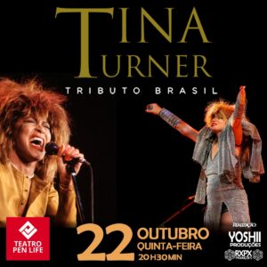 tina turner